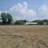 papp_ 18